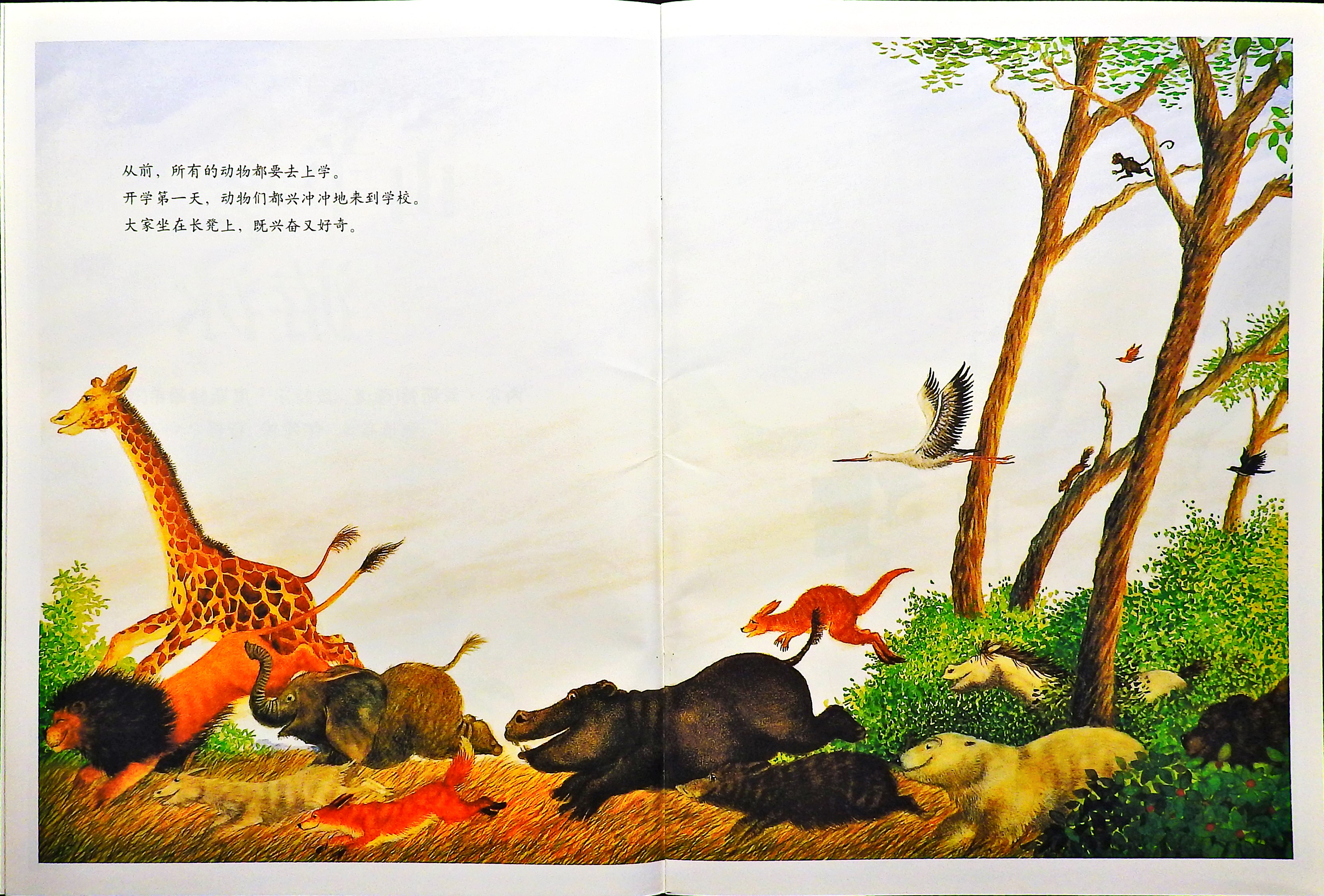 山羊学游泳 (04),绘本,绘本故事,绘本阅读,故事书,童书,图画书,课外阅读